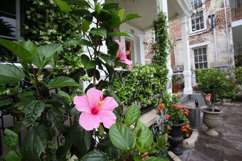 Fleur De Lis Mansion Bed & Breakfast Ню Орлиънс Екстериор снимка