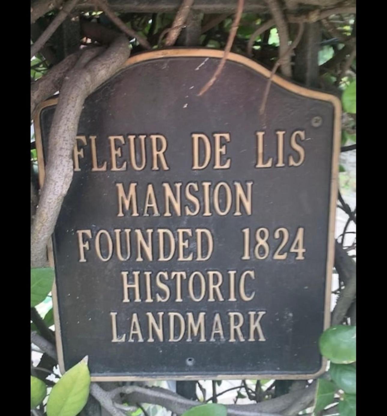 Fleur De Lis Mansion Bed & Breakfast Ню Орлиънс Екстериор снимка